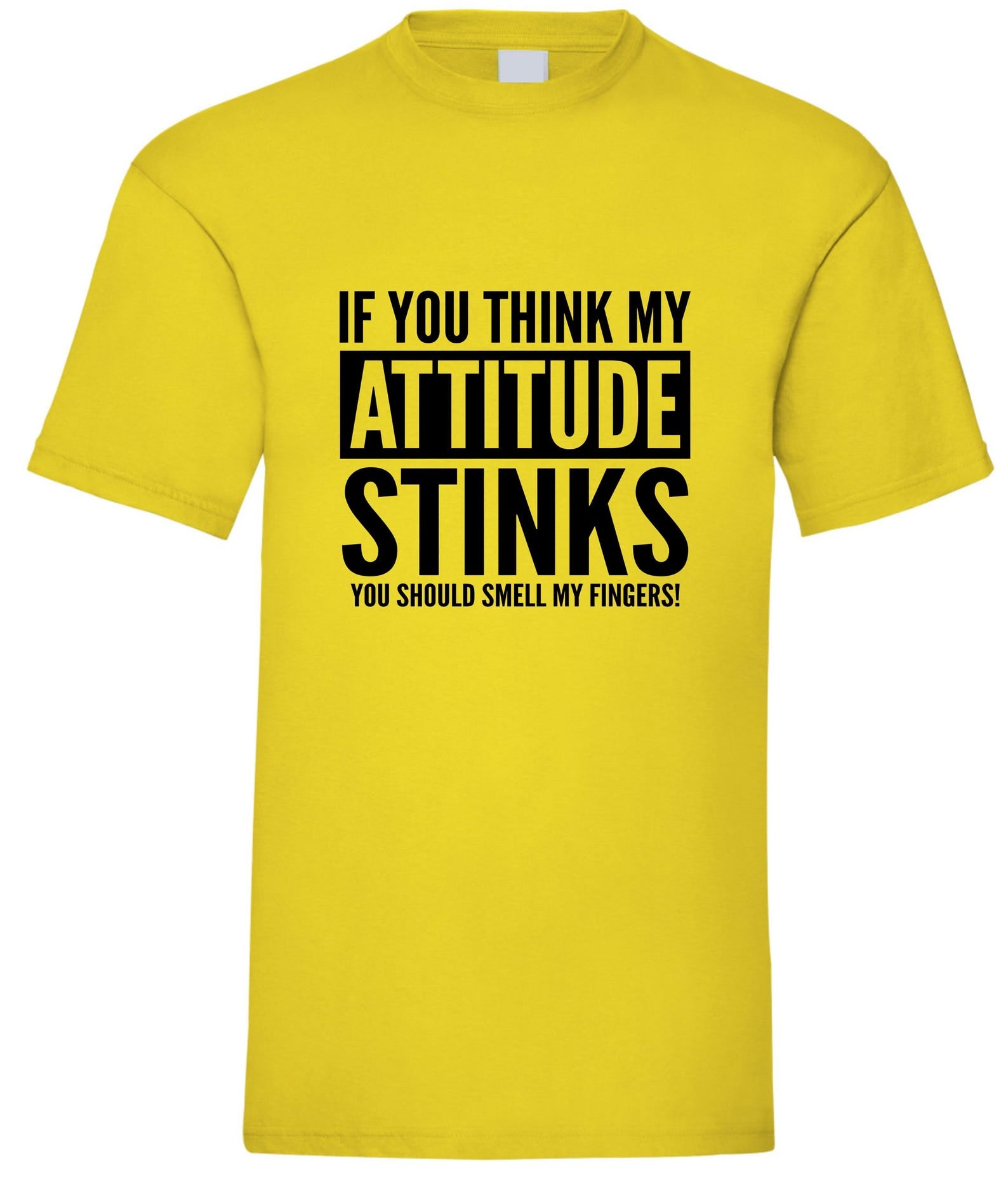 Funny Attitude Stinks T-Shirt: Rude Novelty Slogan Tee Gift