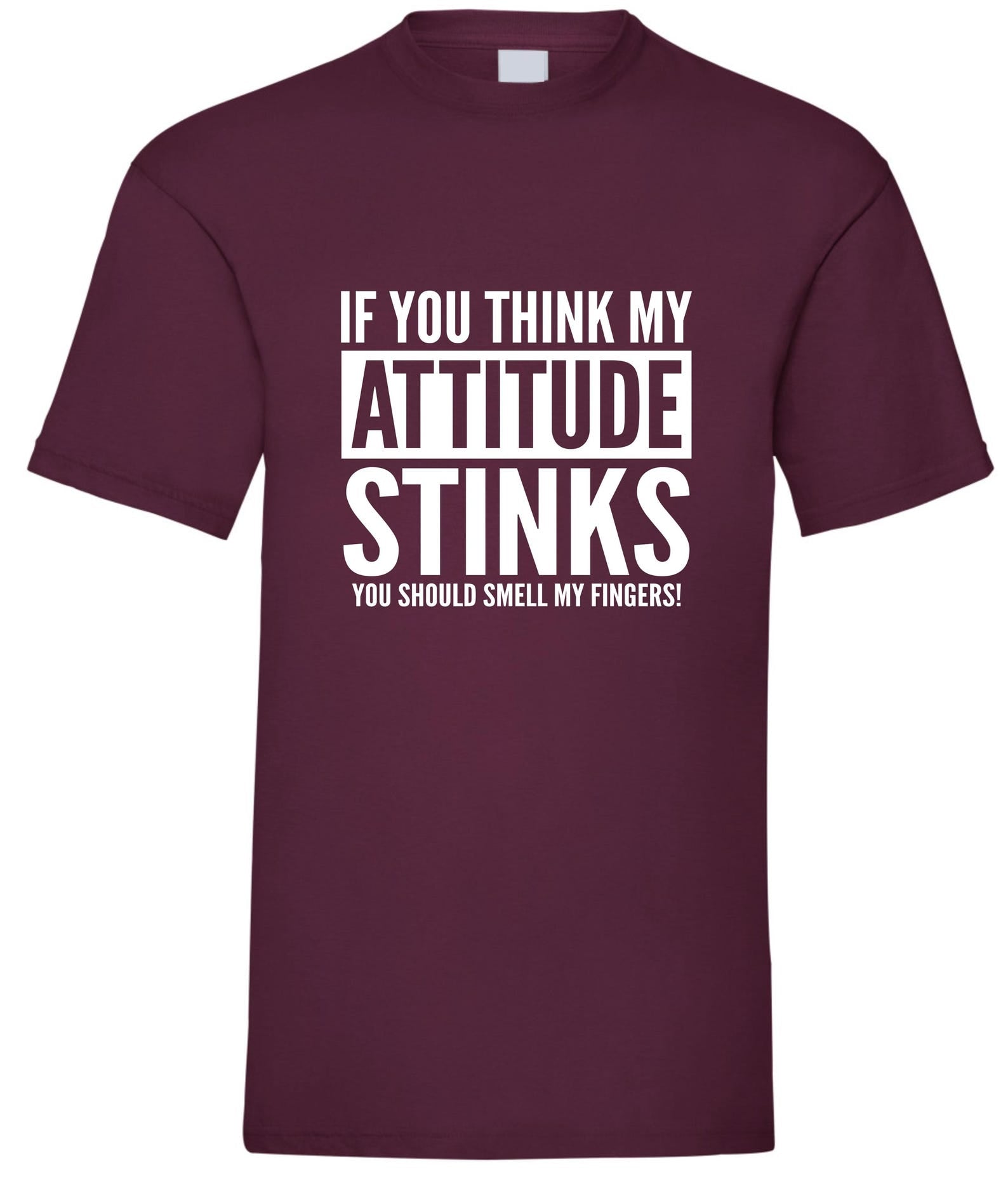 Funny Attitude Stinks T-Shirt: Rude Novelty Slogan Tee Gift